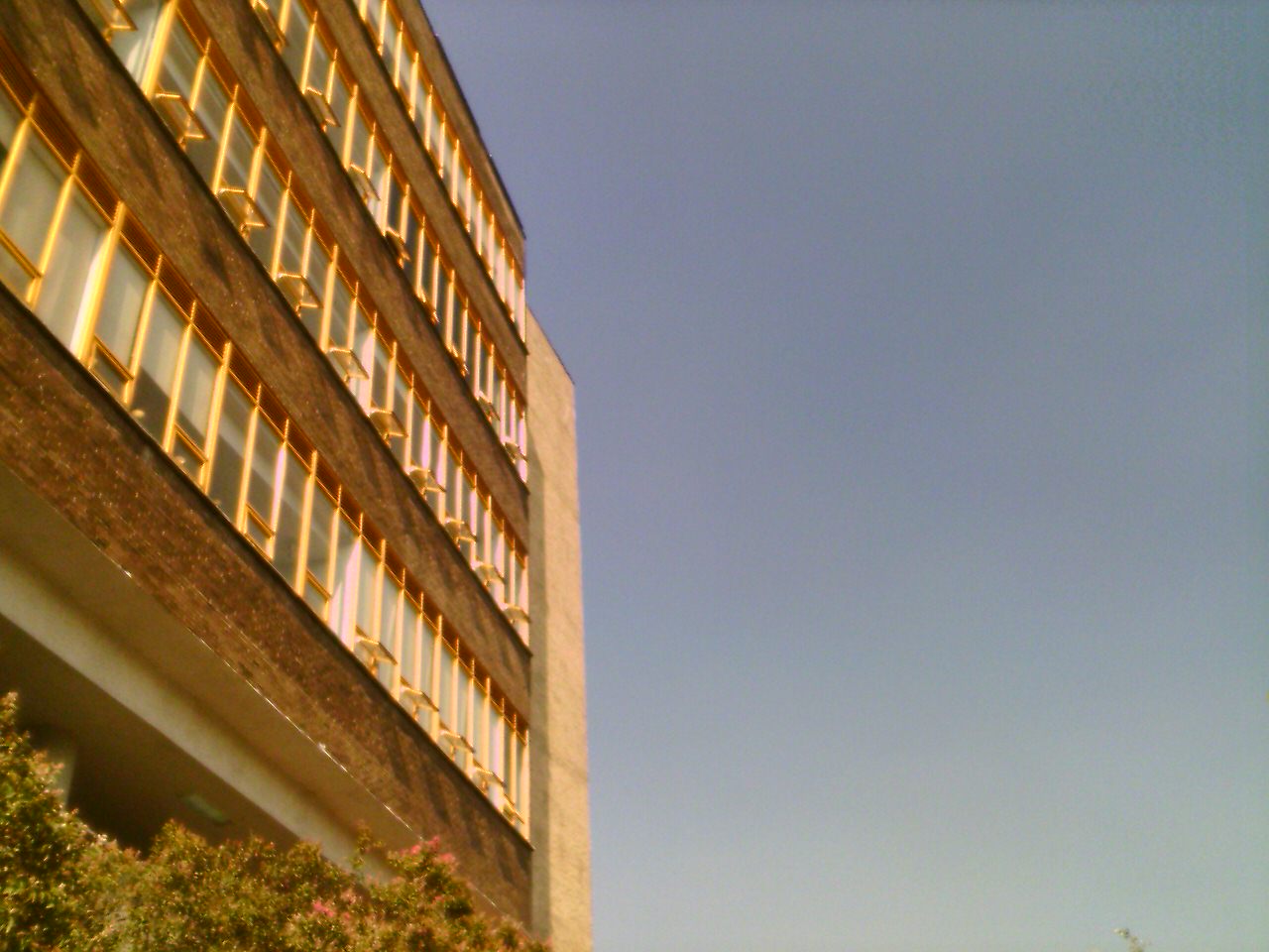 Cielo CU.JPG